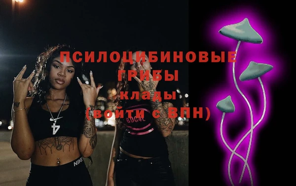бошки Ладушкин