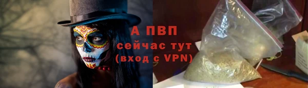 бошки Ладушкин