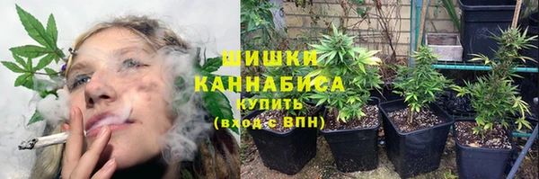 бошки Ладушкин