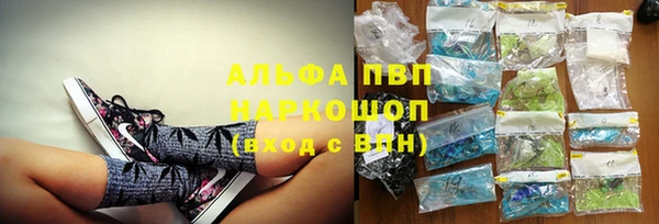 бошки Ладушкин