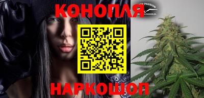 молекула духа Гатчина