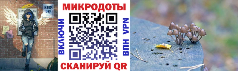 Псилоцибиновые грибы ЛСД купить закладку blacksprut как войти Ржев