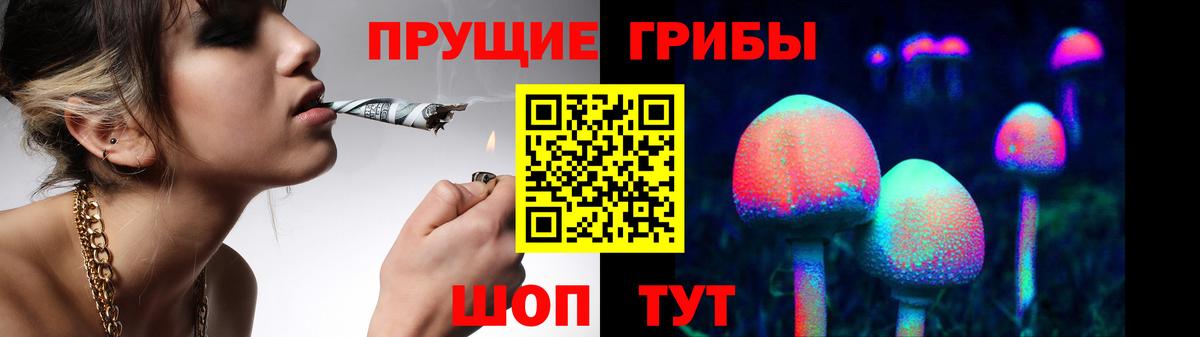 Ржев  Псилоцибиновые грибы Psilocybine cubensis  Вход с VPN 